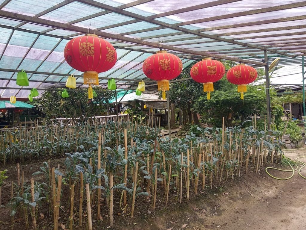 Photo of Signal Hill Eco Farm - Kota Kinabalu, Sabah, Malaysia