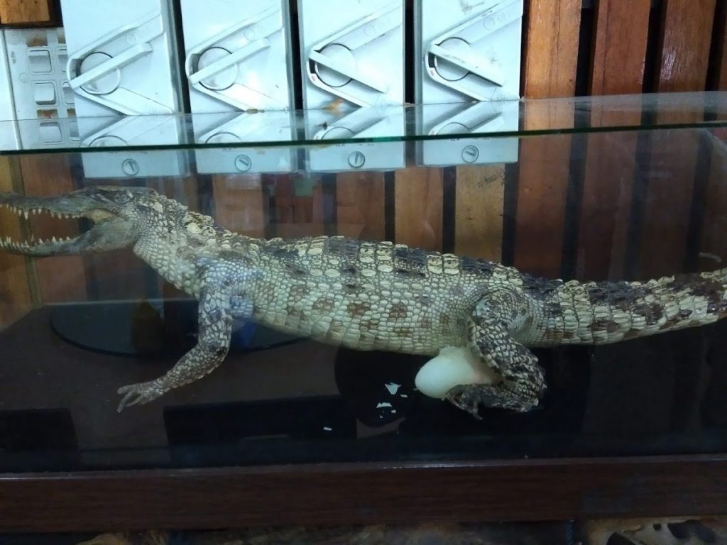 Photo of Borneo Wild Treasure Restaurant - Kota Kinabalu, Sabah, Malaysia