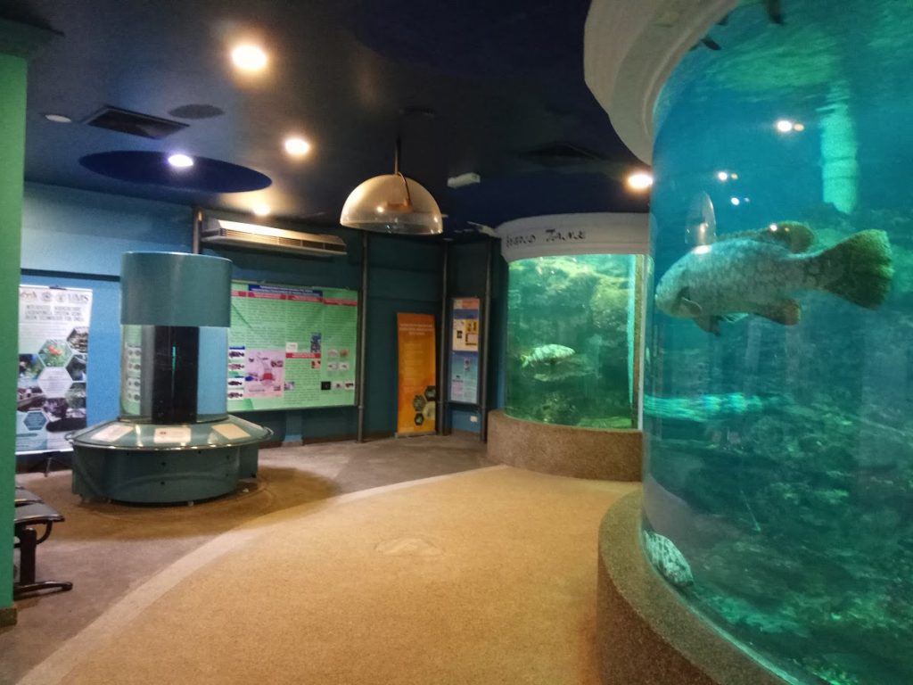 Aquarium & Marine Museum, Universiti Malaysia Sabah, Kota Kinabalu, Sabah. Reviewbah