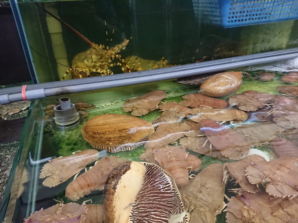 Photo of Harries's burger - Kota Kinabalu, Sabah, Malaysia