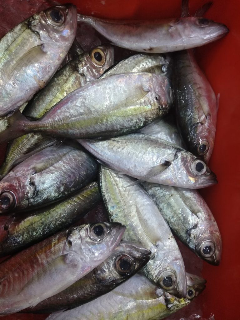 Photo of SL Bakery's Ingredients & Accessories - Kota Kinabalu, Sabah, Malaysia