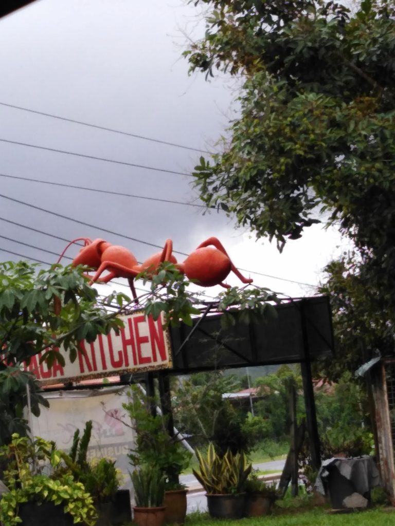 Photo of PuunHaga Kitchen - Kota Kinabalu, Sabah, Malaysia