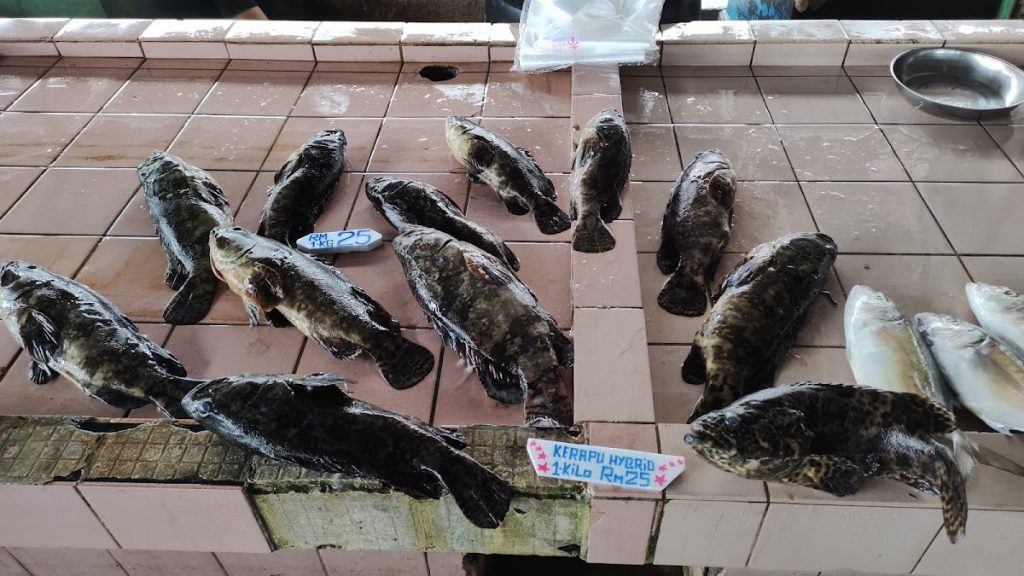 Photo of HK Seafood Restaurant - Kota Kinabalu, Sabah, Malaysia