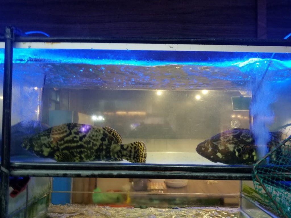 Photo of Palace Seafood - Kota Kinabalu, Sabah, Malaysia