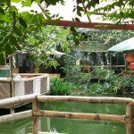 Photo of Signal Hill Eco Farm - Kota Kinabalu, Sabah, Malaysia