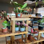 Photo of Eulogeo Cafe - Kota Kinabalu, Sabah, Malaysia