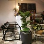 Photo of Haru Cafe (Taman Cantek Branch) - Kota Kinabalu, Sabah, Malaysia
