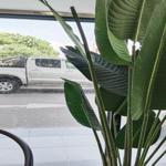 Photo of ThirsTea malaysia - Kota Kinabalu, Sabah, Malaysia