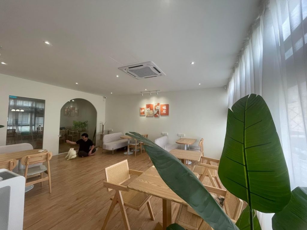 Little Belly Pet Pet 小肚腩宠物餐厅 - Reviewbah