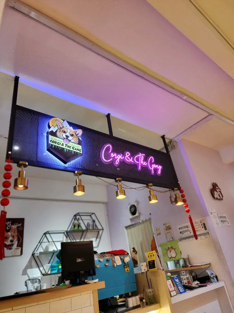 Pet Lover's Paradise: Discover Georgetown's Top Pet Cafés | Reviewbah