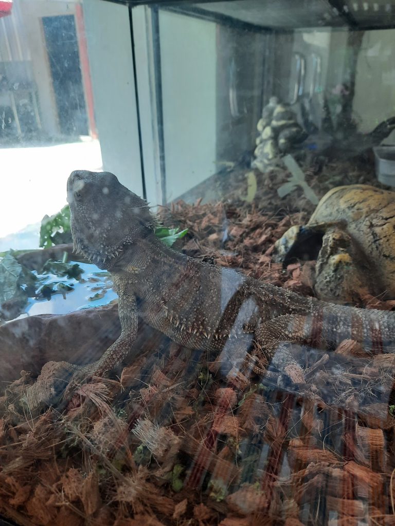 Photo of Mark Baba Pets Cafe - Kota Kinabalu, Sabah, Malaysia