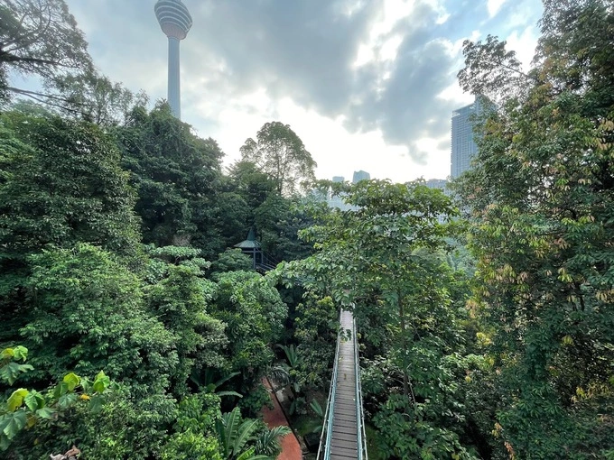 A Guide to Visiting the KL Forest Eco Park | Reviewbah