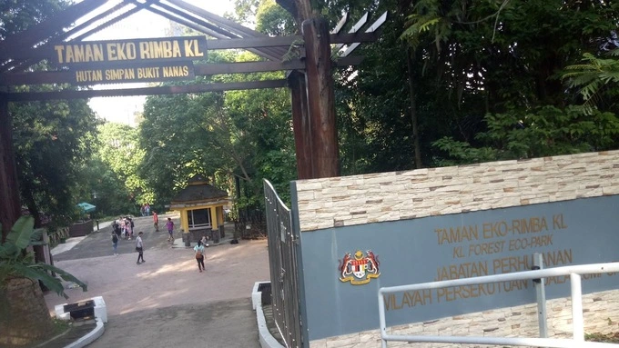 A Guide to Visiting the KL Forest Eco Park | Reviewbah