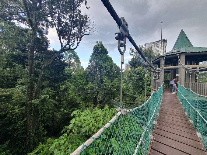 A Guide to Visiting the KL Forest Eco Park | Reviewbah