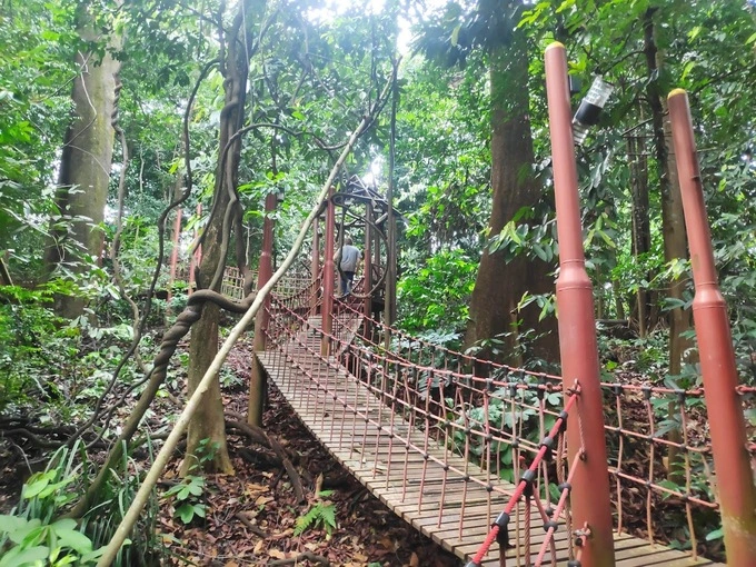 A Guide to Visiting the KL Forest Eco Park | Reviewbah