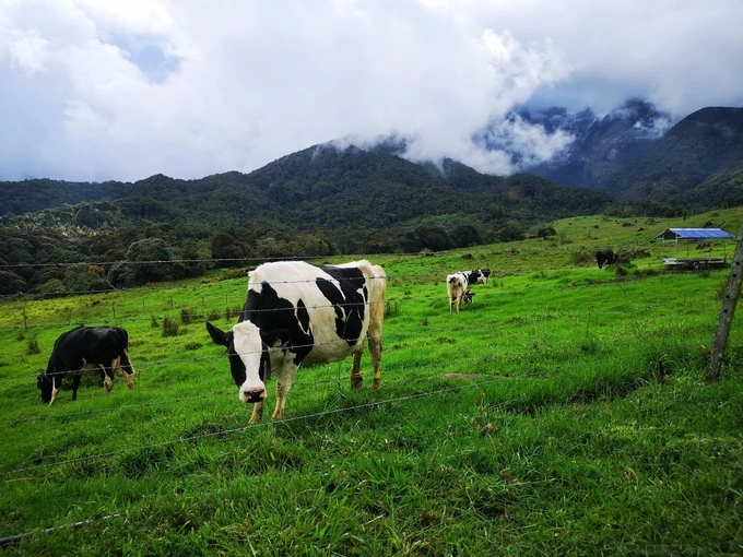 Year End Travel Guide 2023: Sabah, the Land Below the Wind | Reviewbah