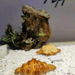 Photo of Appétissant Croissanterie - Kota Kinabalu, Sabah, Malaysia