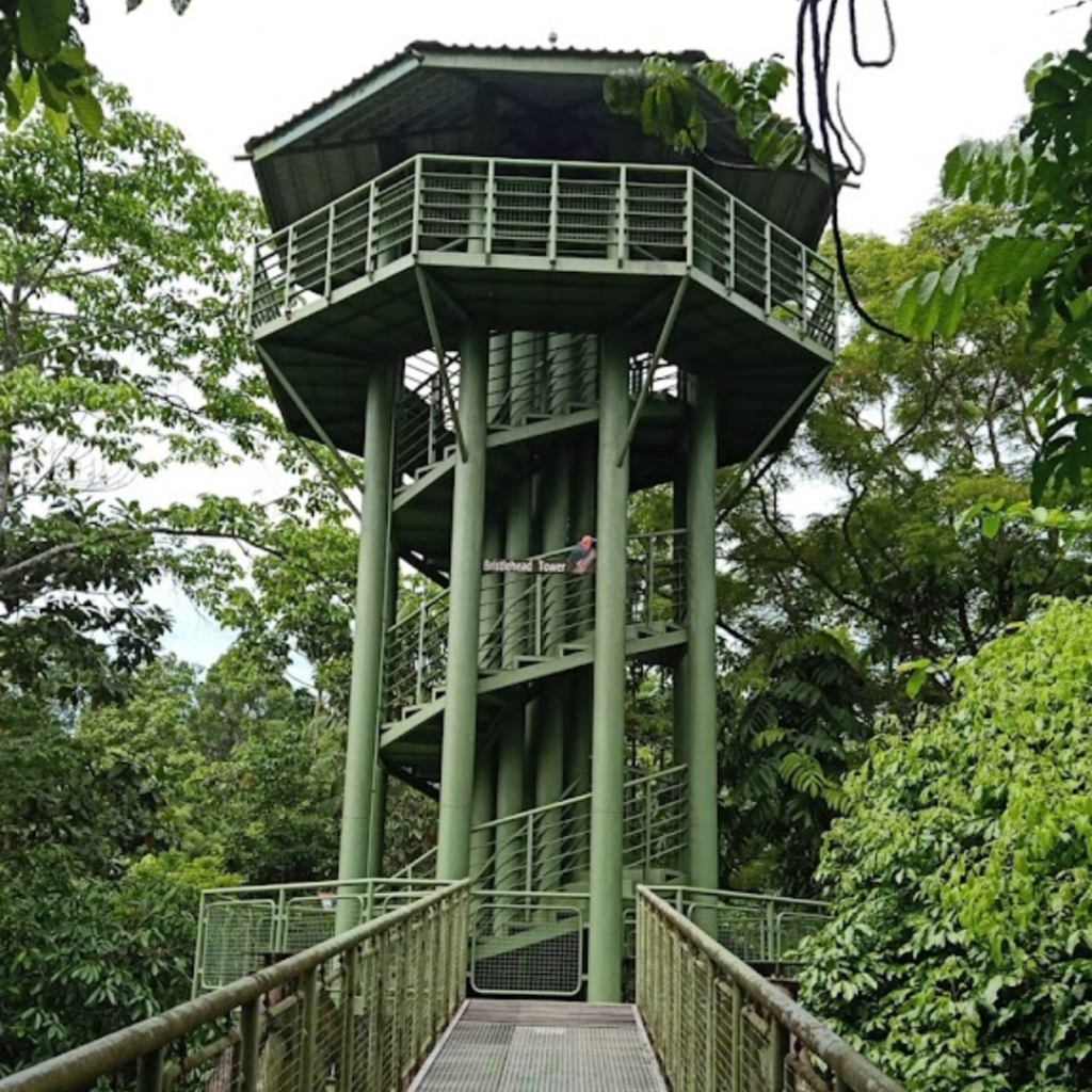 A Traveller's Guide: Experience Sabah's Magical Beauty Firsthand | Reviewbah