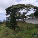 Photo of Hillside Kokol - Kota Kinabalu, Sabah, Malaysia