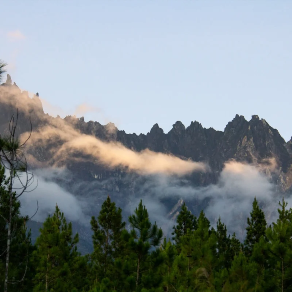 Your Perfect Highland Retreat: Embrace Tranquility at Gathering Village Kundasang | Reviewbah