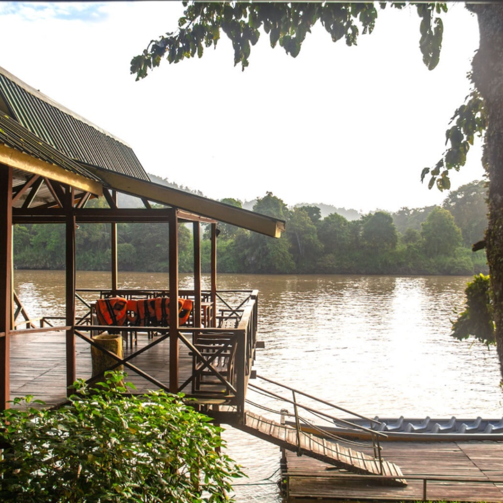 Embrace the Nature of Sandakan: Discover the Wonders of Bilit Adventure Lodge | Reviewbah