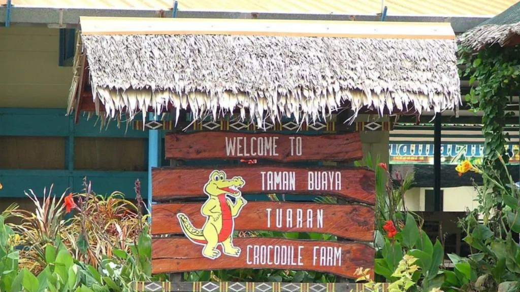 Latest Travel Guides | Reviewbah