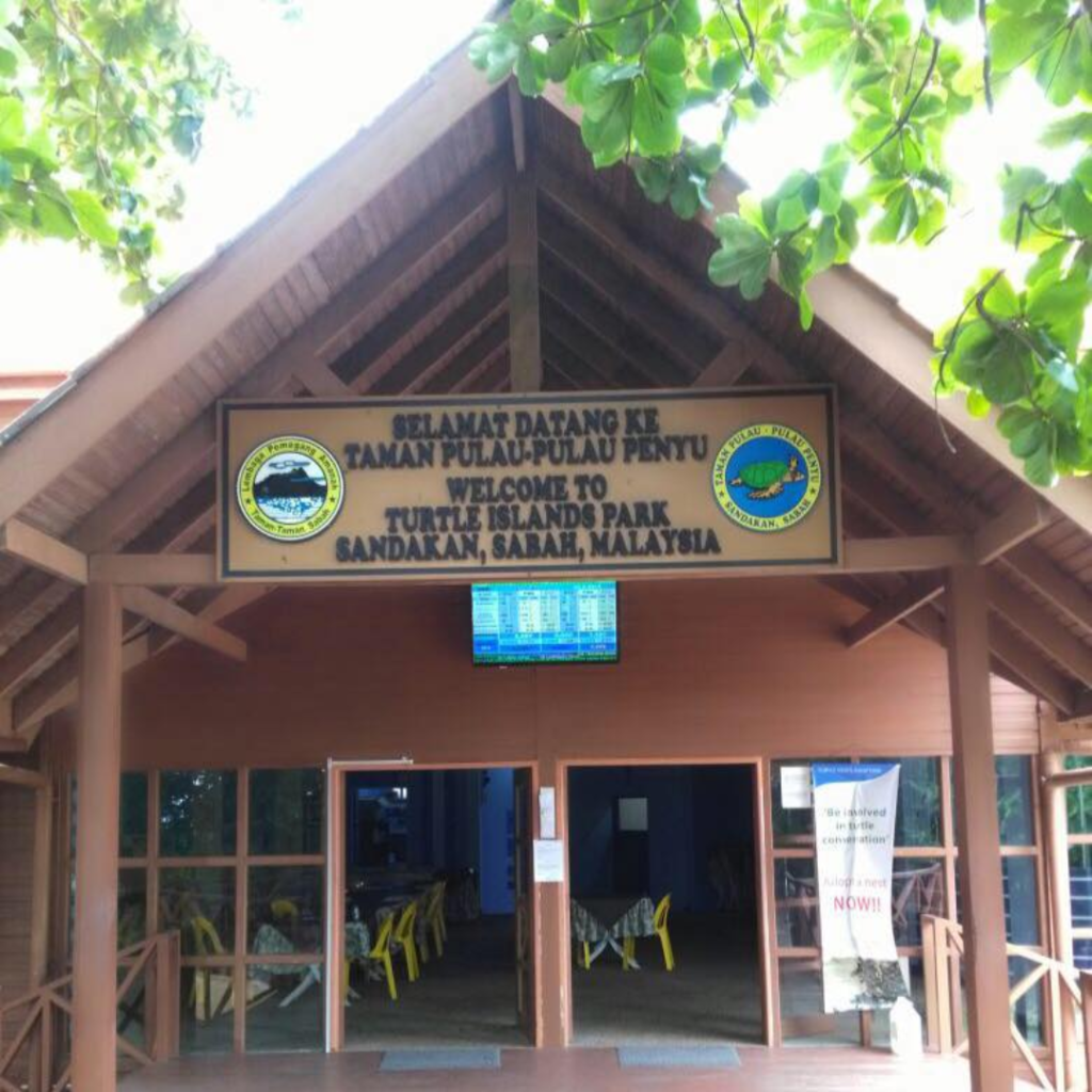 Your Ultimate 2D1N Escape: Experience the Magic of Selingan Turtle Island | Reviewbah