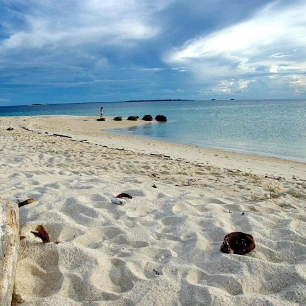 Your Ultimate 2D1N Escape: Experience the Magic of Selingan Turtle Island | Reviewbah