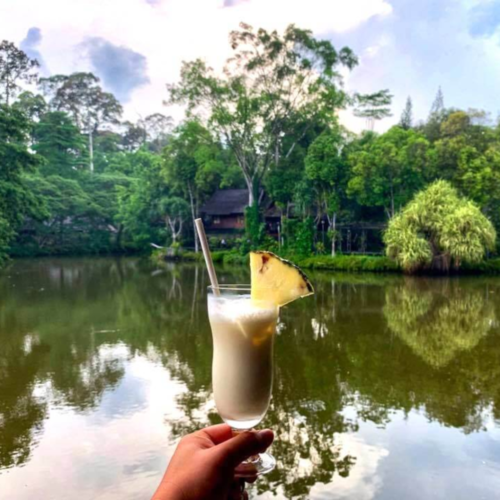 Escape to the Nature: An Adventure at Sepilok Nature Resort Sandakan | Reviewbah